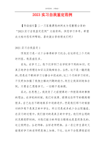 2023实习自我鉴定范例