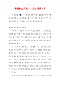暑期社会实践个人总结精编5篇
