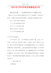 2023年工作半年的自我鉴定怎么写