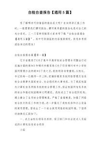 自检自查报告【通用5篇】