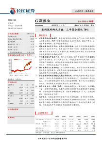长江证券　深振业深度报告(1)