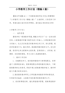 小学教导工作计划（精编3篇）