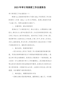 2023年审计局保密工作自查报告