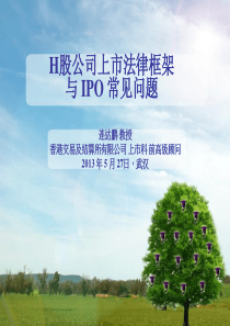 香港证券交易所上市科副总监经典PPT-H股公司上市法律