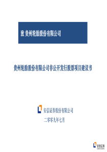 黔轮胎非公开发行建议书-安信证券