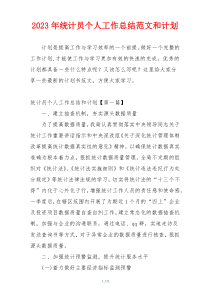 2023年统计员个人工作总结范文和计划