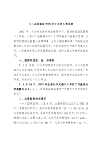 县招商局2023年上半年工作总结