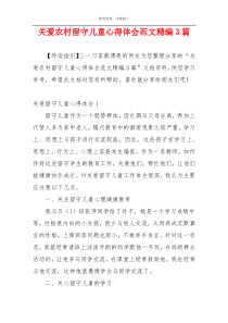 关爱农村留守儿童心得体会范文精编3篇