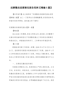 巡察整改进展情况报告范例【精编5篇】