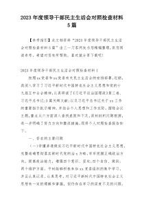 2023年度领导干部民主生活会对照检查材料5篇