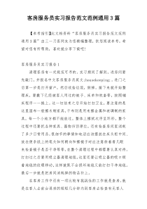 客房服务员实习报告范文范例通用3篇