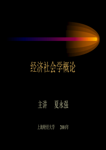 经济社会学概论