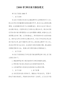 [3000字]审计实习报告范文