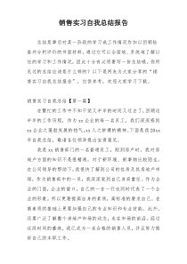 销售实习自我总结报告