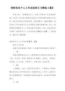 校财务处个人工作总结范文【精选4篇】