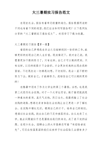 大三暑期实习报告范文