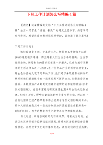 下月工作计划怎么写精编4篇