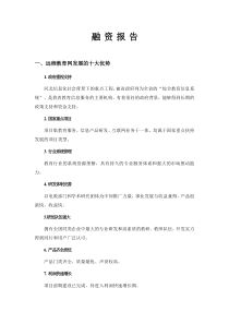 融资报告