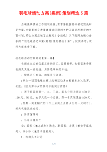 羽毛球活动方案(案例)策划精选5篇
