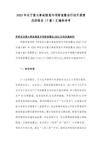 2023年关于重大事故隐患专项排查整治行动开展情况的报告（7篇）汇编供参考