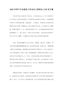 2023年学习中央经济工作会议心得体会1750字文稿