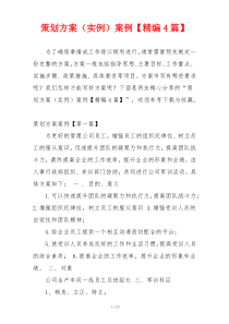 策划方案（实例）案例【精编4篇】