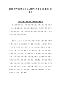 2023年学习共青团十九大精神心得体会（2篇文）供参考