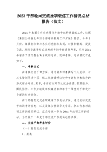 2023干部轮岗交流挂职锻炼工作情况总结报告（范文）