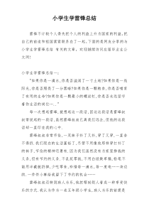 小学生学雷锋总结