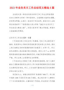 2023年业务员月工作总结范文精选5篇