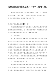 巡察立行立改整改方案（详情）（通用4篇）