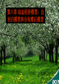 计量经济学课件6