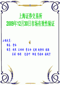 计量经济市场有效性检验