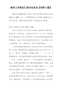 政府工作报告汇报讨论发言【范例4篇】