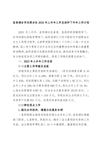 县供销合作社联合社2023年上半年工作总结和下半年工作计划