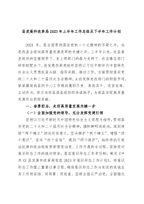 县发展和改革局2023年上半年工作总结及下半年工作计划
