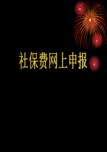 财务管理-社保费网上申报(PPT 67页)