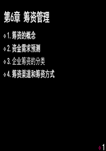财务管理06_筹资管理