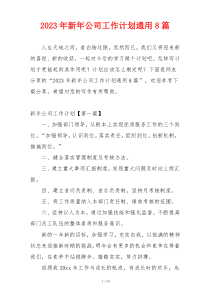 2023年新年公司工作计划通用8篇