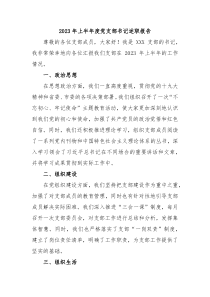 2023年上半年度党支部书记述职报告