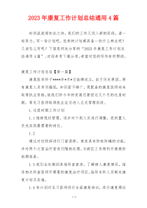 2023年康复工作计划总结通用4篇