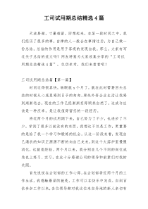 工司试用期总结精选4篇