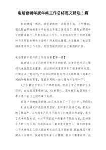 电话营销年度年终工作总结范文精选5篇