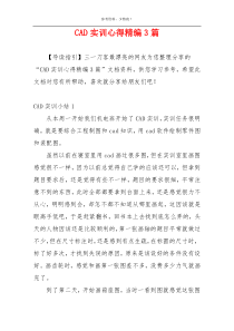 CAD实训心得精编3篇