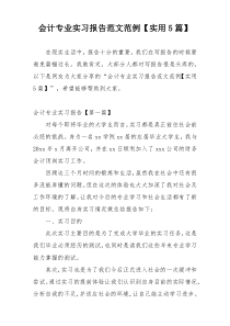 会计专业实习报告范文范例【实用5篇】