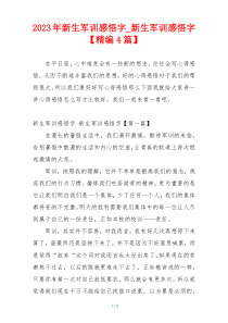 2023年新生军训感悟字_新生军训感悟字【精编4篇】