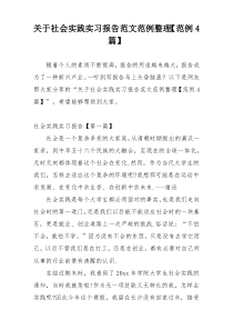 关于社会实践实习报告范文范例整理【范例4篇】