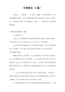 尽调报告（5篇）