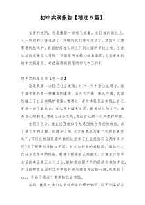 初中实践报告【精选5篇】