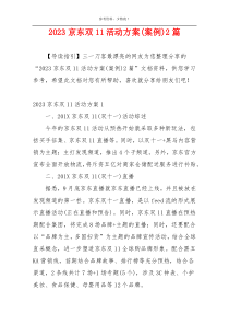 2023京东双11活动方案(案例)2篇